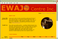 Ewajo Centre Inc.